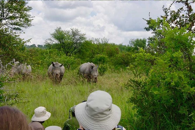 10 Day Zimbabwe and Chobe NP Tour - Five things to know before booking