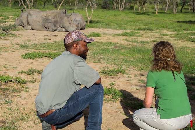 10 Day Zimbabwe and Chobe NP Tour - Chobe lets you watch wildlife from the river