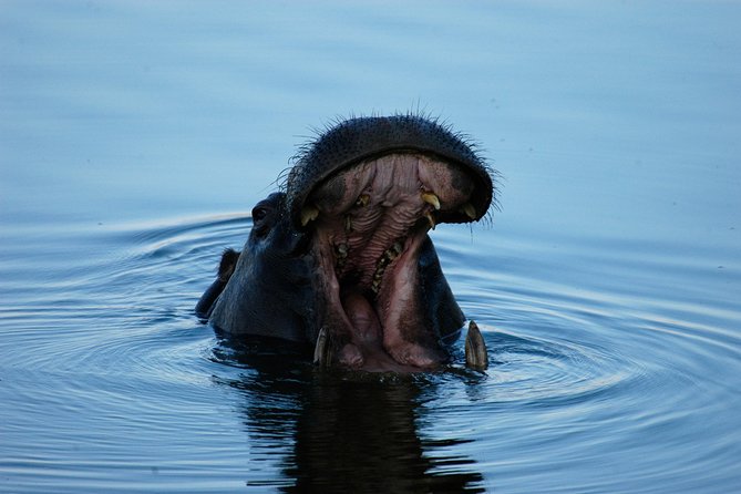 13 Days Best Of Zimbabwe - Starting beside the Zambezi River
