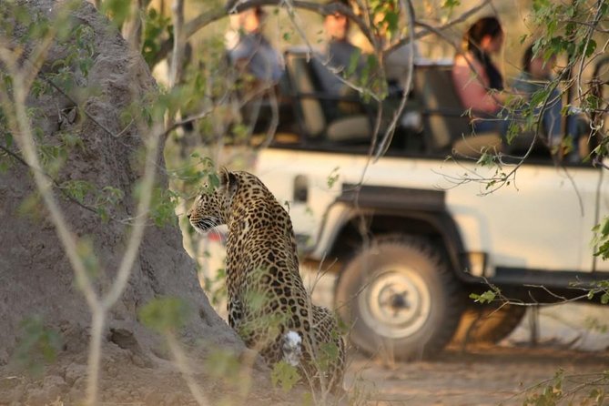 2-Day Camping Safari in Chobe National Park from Victoria Falls - Campfire meals and the overnight rhythm