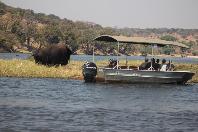 2-Day Camping Safari in Chobe National Park from Victoria Falls - What the second day adds