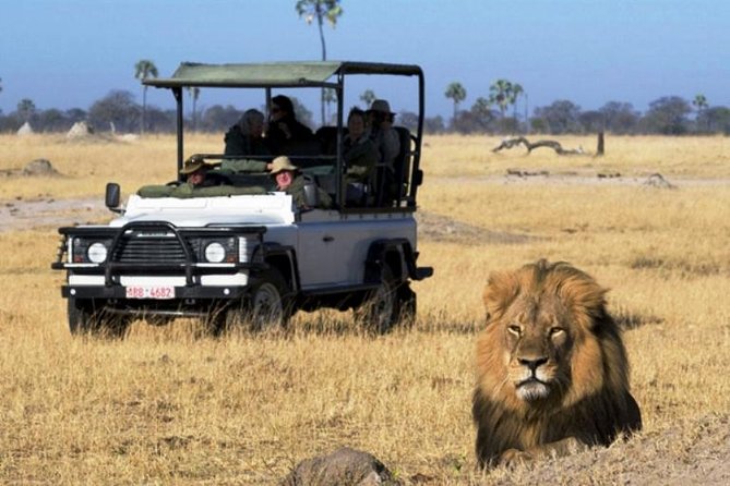 2-Day Camping Safari in Chobe National Park from Victoria Falls - The three-hour Chobe River boat safari