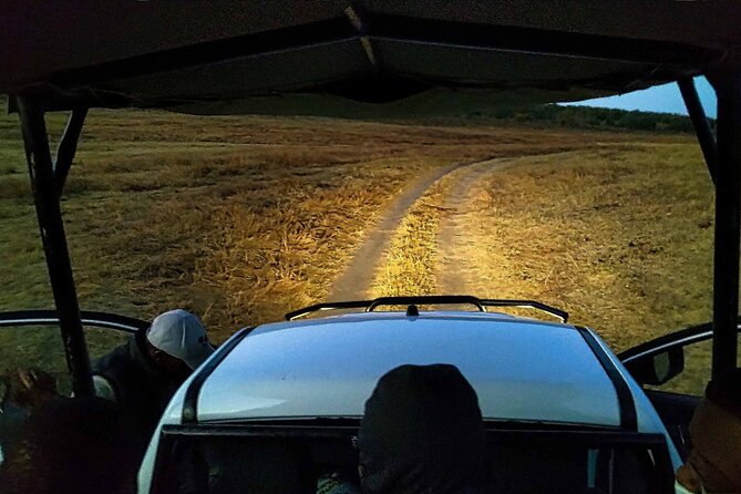 2 Hour Stargazing Tour in Victoria Falls NP Area in 4x4 - Why stargazing in Victoria Falls feels different