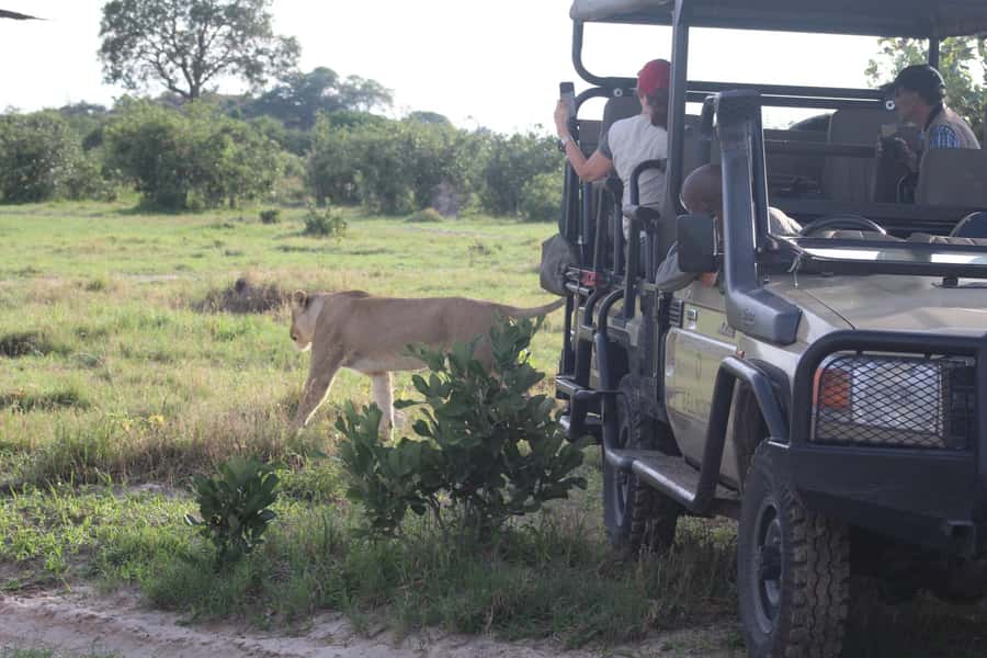 3-Day Chobe Camping Safari from Victoria Falls - What the $650 price really covers
