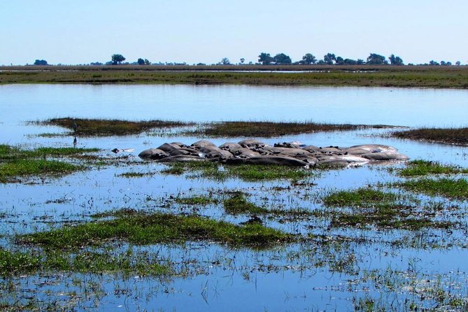 3 Day Chobe National Park Camping Safari - Day one: entering Chobe and settling into safari time