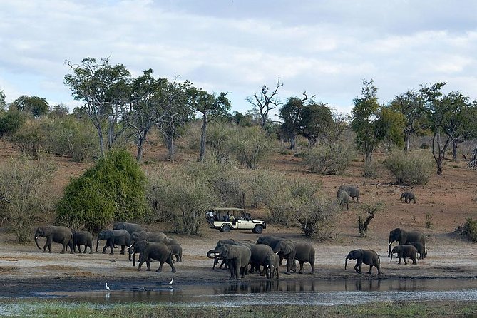3 Day Chobe National Park Camping Safari - The camping setup: comfortable, but not wild camping