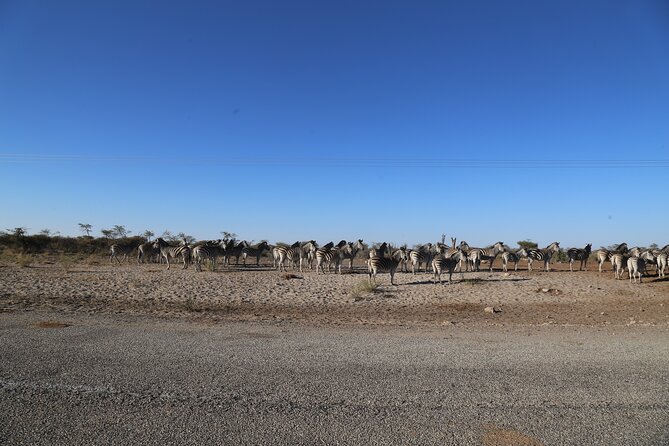 3 Day Hwange National Park Safari Trip from Victoria Falls - Who will enjoy this three-day safari most