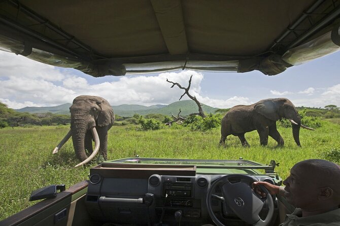 3-Day Victoria Falls Safari with Dinner Cruise - Day 2 afternoon: A sunset 4x4 safari in Nakavango Private Game Reserve