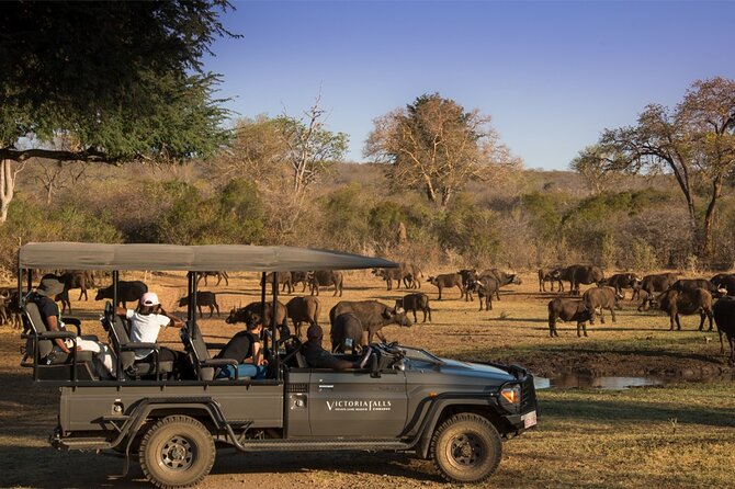 3-Day Victoria Falls Safari with Dinner Cruise - Day 3: A short transfer with flight timing at the center