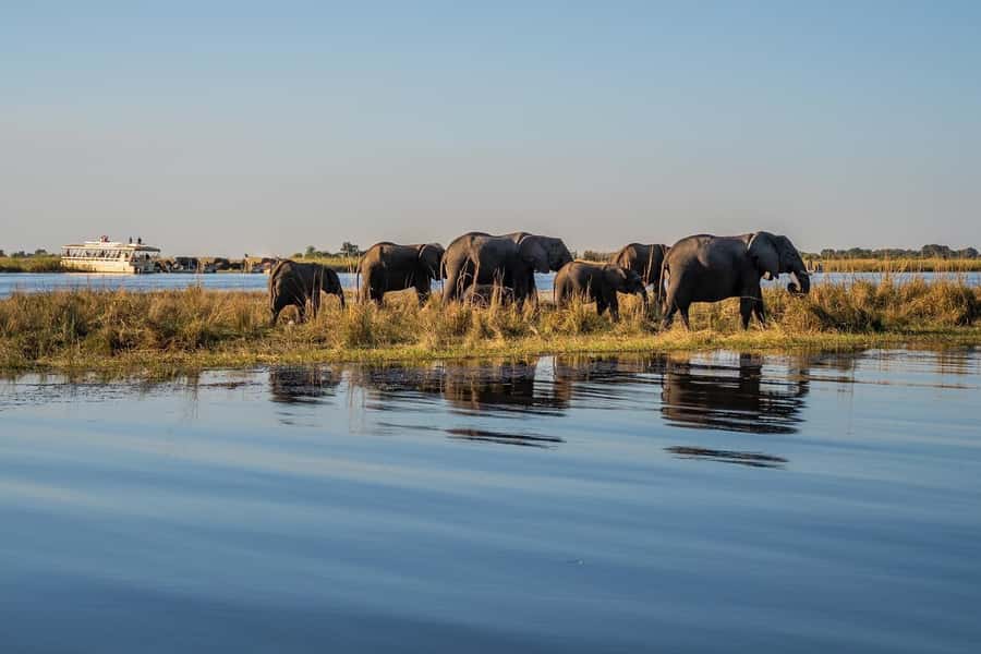 3 Days Explore Zambia, Zimbabwe and Chobe Park in Botswana - Why this three-country trip works