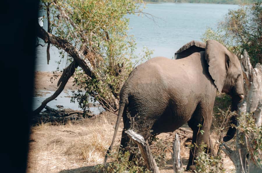 3 Days Explore Zambia, Zimbabwe and Chobe Park in Botswana - Livingstone Museum and Zambia’s side of the falls