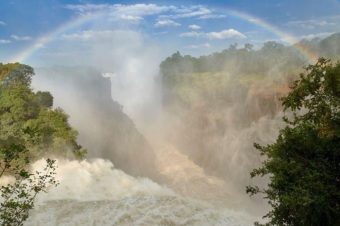 4-Day Discover Victoria Falls, Chobe and Hwange Park - Day three: Hwange by road and 4x4