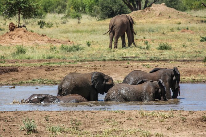 4-Day Discover Victoria Falls, Chobe and Hwange Park - Accommodation and meals at Dzimbahwe Guest Lodge