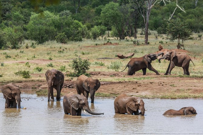 4-Day Discover Victoria Falls, Chobe and Hwange Park - Who will enjoy this fast safari circuit