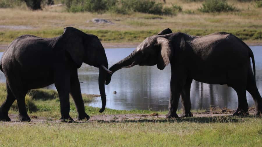 4 Days Victoria Falls Tour and Chobe Full day Safari Tour - Arrival and the first sunset on the Zambezi