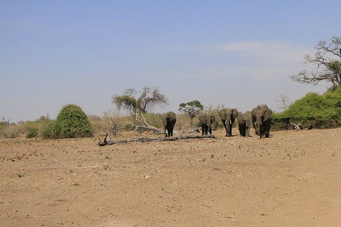 5 Day Chobe National Park Accommodated Tour Safari - The Zambezi at sunset