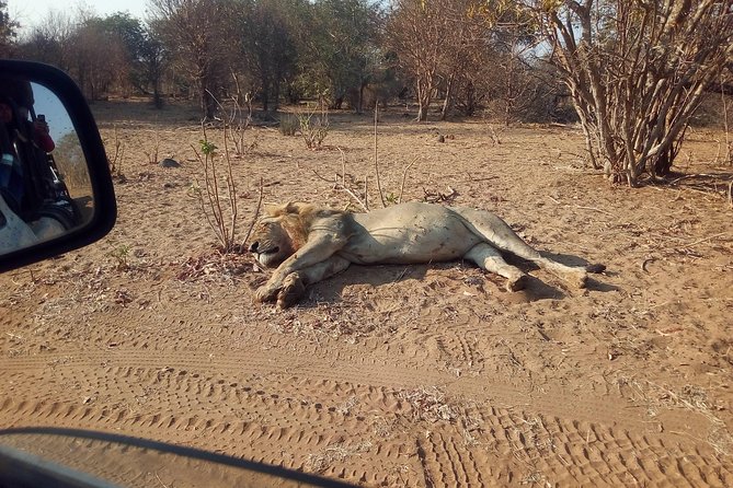 5-Day Explore Zimbabwe, Zambia and Botswana - Day One: Airport Pickup and a Golden Zambezi Evening