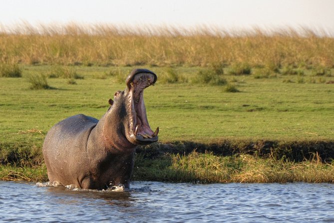5-DAY Victoria Falls and Chobe National Park - Key points to know before booking