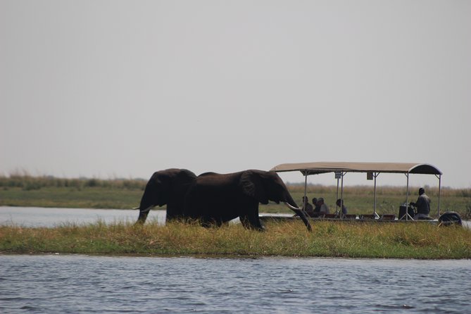 5-DAY Victoria Falls and Chobe National Park - What this five-day package really covers