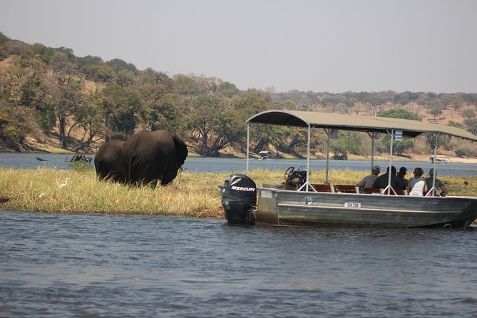 5-DAY Victoria Falls and Chobe National Park - Day 3: A full Chobe safari from boat to 4x4