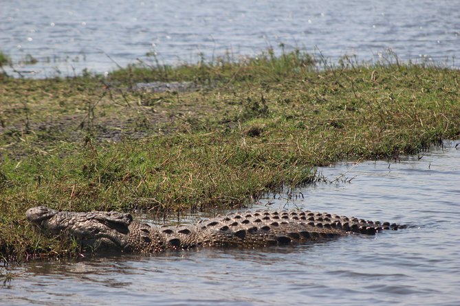 5-DAY Victoria Falls and Chobe National Park - Hotel, guide, and group size