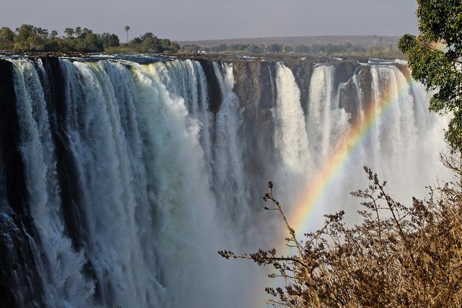 5 Day Victoria Falls and Chobe National Park Luxury Accommodated Tour - Why this five-day combination works