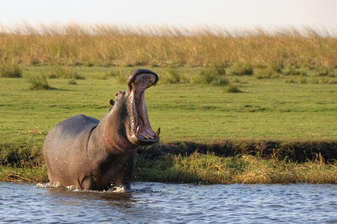 5 Day Victoria Falls and Chobe National Park Luxury Accommodated Tour - Day 1: A sunset introduction to Victoria Falls
