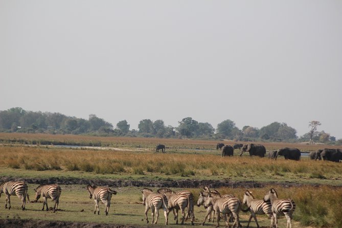 5-DAY Victoria Falls and Chobe National Park - Day 1: A gentle start on the Zambezi River