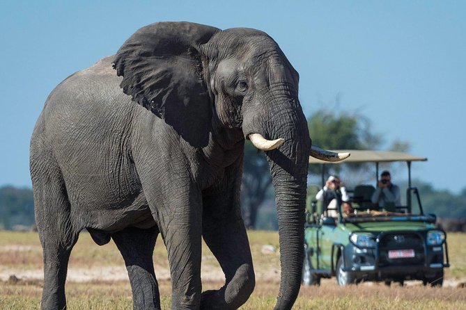 5 Day Victoria Falls and Hwange National Park Accommodated Safari Tour - What the $1,800 price gets you in practical terms