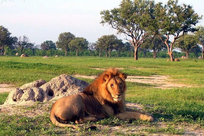 5 Day Victoria Falls and Hwange National Park Accommodated Safari Tour - Group size, fitness, and the human side of the tour