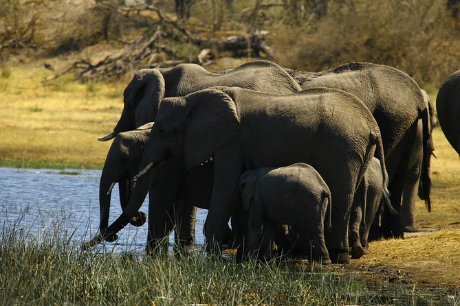 5 Day Victoria Falls and Hwange National Park Accommodated Safari Tour - Cancellation rules and timing