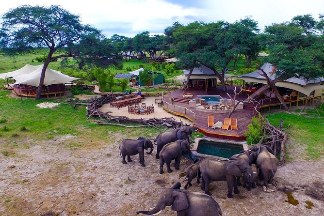 5 Day Victoria Falls and Hwange National Park Accommodated Safari Tour - Day two: Victoria Falls, the trip’s visual centerpiece