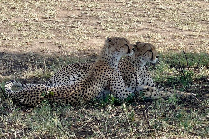 5-Day Visit Zimbabwe, Zambia, Botswana & Namibia Island - Day 2: Seeing Victoria Falls from Zimbabwe and Zambia