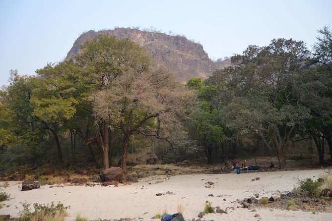 5 Days & 4 Nights Whitewater Rafting Victoria Falls - Day five: a quieter Zambezi and more wildlife
