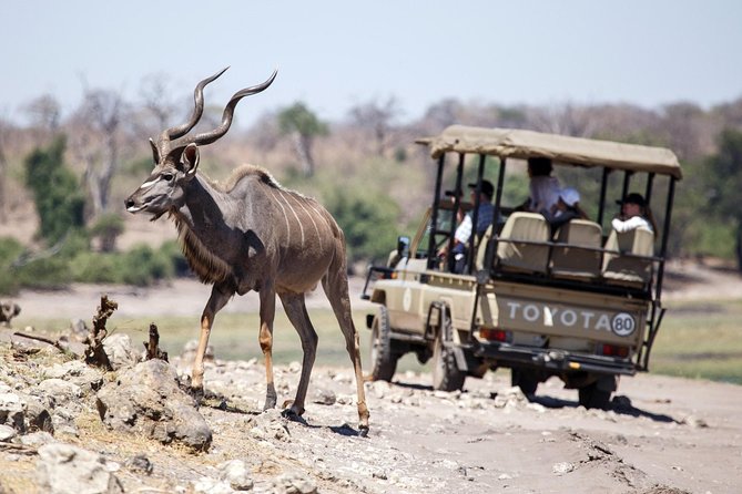 6-day Hwange, Chobe & Victoria Falls Combo - Why this six-day route works