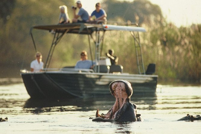 6-day Hwange, Chobe & Victoria Falls Combo - Days two and three: Hwange’s quieter safari rhythm
