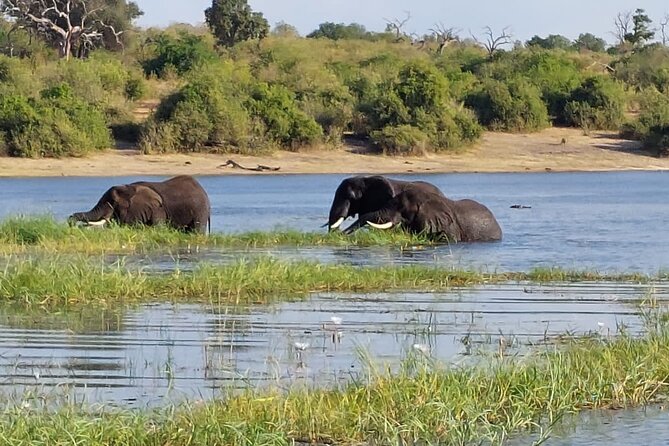 6 Days Victoria Falls Chobe Wildlife and Okavango Delta Tour - From Victoria Falls to Botswana in 90 minutes