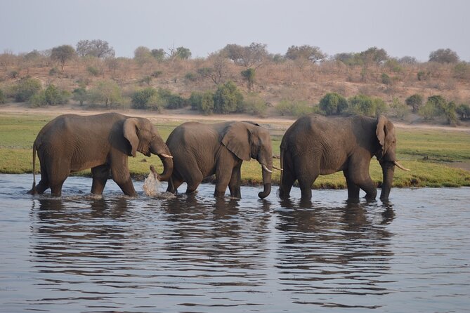 6 Days Victoria Falls Chobe Wildlife and Okavango Delta Tour - Day 4: Through Makgadikgadi National Park to Maun