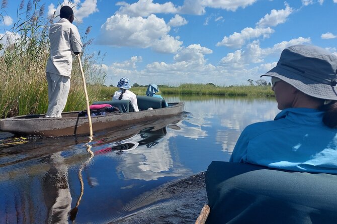6 Days Victoria Falls Chobe Wildlife and Okavango Delta Tour - Day 5: By 4x4 and mokoro into the Okavango Delta