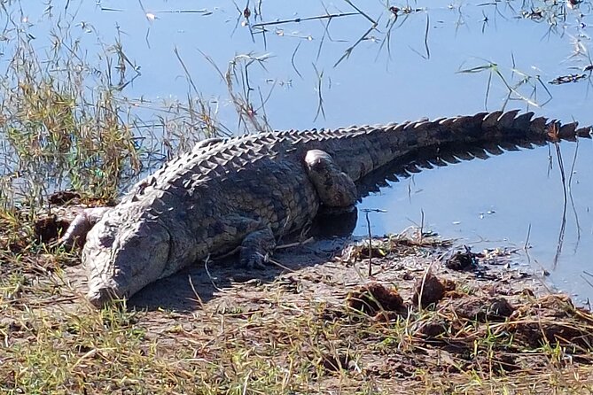 6 Days Victoria Falls Chobe Wildlife and Okavango Delta Tour - What the $2,250 price covers