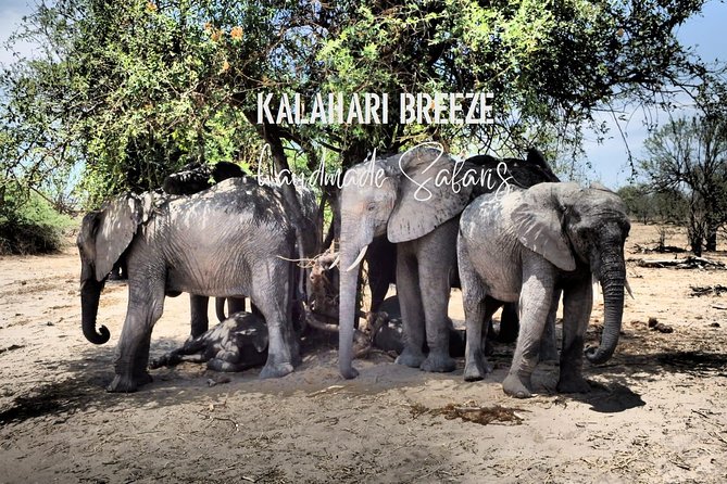 7 Day Highlights Of Botswana Overland Tour – ACCOMODATED (midrange) - Day 5: The road to Maun and an optional flight