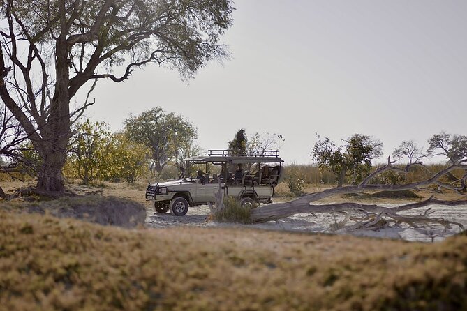 8 Day Chobe NP, Elephant Sands, Okavango Delta & Victoria Falls - Six reasons this safari earns a close look