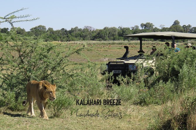 8 Day Highlights Of Botswana & Victoria Falls Overland Tour - Day 6: A full day of walking and canoe exploration