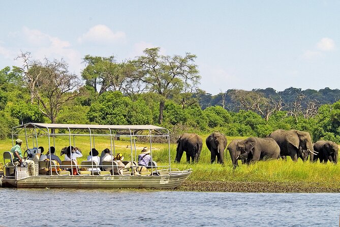 A 2 Day Victoria Falls & Chobe Safari Combo - The Zambezi cruise at the end of day one