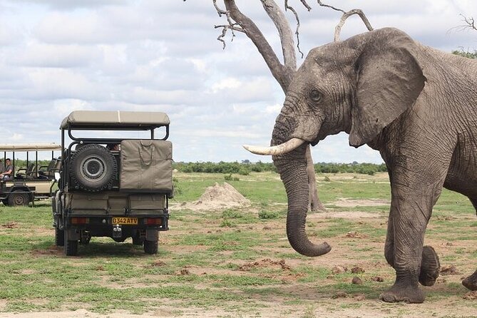 A 2 Day Victoria Falls & Chobe Safari Combo - Chobe National Park by 4x4 and boat