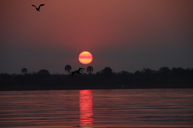 Adrenaline Jet Boat Safari in Victoria Falls - Wildlife, Weather, and the River’s Changing Mood