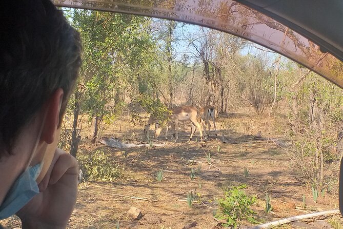 Airport, Hotel and local transfers in Victoria Falls - A 20 to 25-minute route with wildlife potential