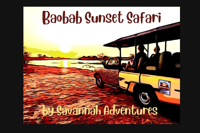 Baobab-Sunrise-Sunset-Vulture-Moonlight Safaris, 4 Options - Key points at a glance