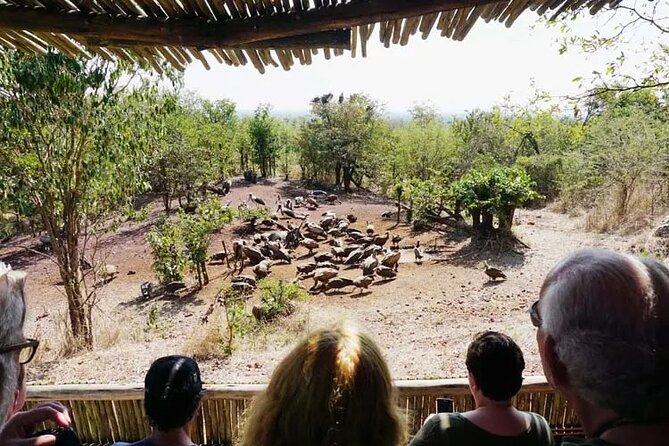 Baobab-Sunrise-Sunset-Vulture-Moonlight Safaris, 4 Options - Starting among Victoria Falls landmarks