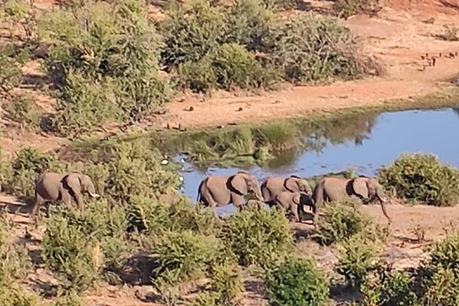 Baobab-Sunrise-Sunset-Vulture-Moonlight Safaris, 4 Options - A short stop above the Zambezi gorge